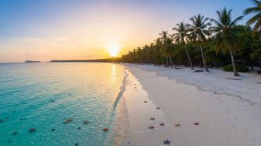 Phu Quoc Island: Your Ultimate Guide to Beaches, Snorkeling & Hidden Gems