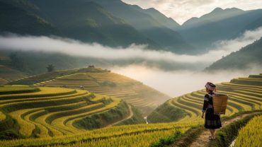 Chasing Clouds & Culture: How to Find the REAL Northern Vietnam (Beyond the Sapa Crowds) ⛰️